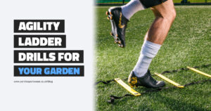 Agility Ladder Drills For Your Garden Blog Cover