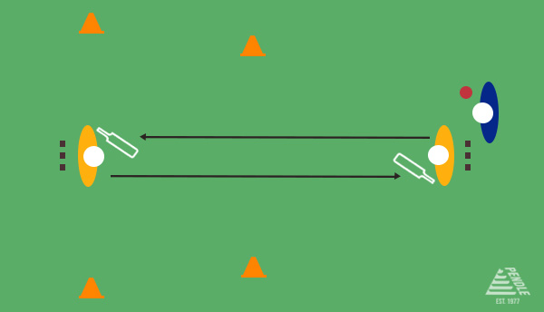 Cricket Training - Run or Wait Batting Drill