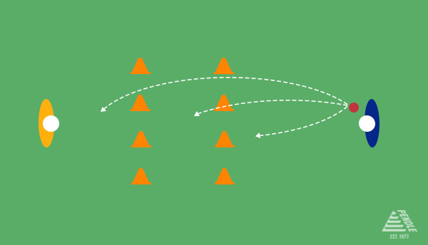 Cricket Training - Shot Selection Batting Drill