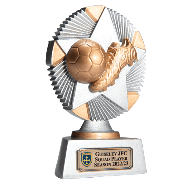 Strike trophy - a silver trophy with gold detailing featuring a gold boot and football against a circular background