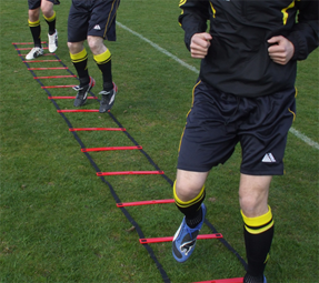 Football Training Equipment Ladder